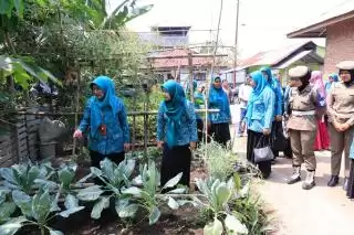 Ketua TP PKK Kota Binjai Monitoring Pelaksanaan Lomba Tertib Administrasi