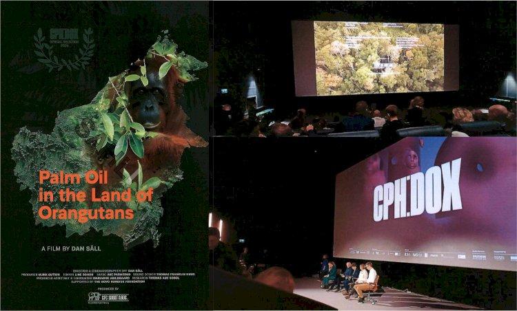 Denmark Film 'Palm Oil in The Land of Orangutans' Satwa dan Sawit Hidup Berdampingan