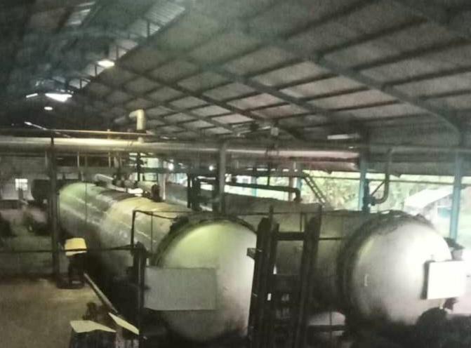 Ulah Harga CPO Global Terpuruk Bikin Harga TBS Kelapa Sawit Menukik di Mukomuko