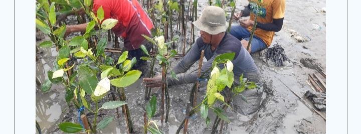 Keberlanjutan LindungiHutan di Tambakrejo