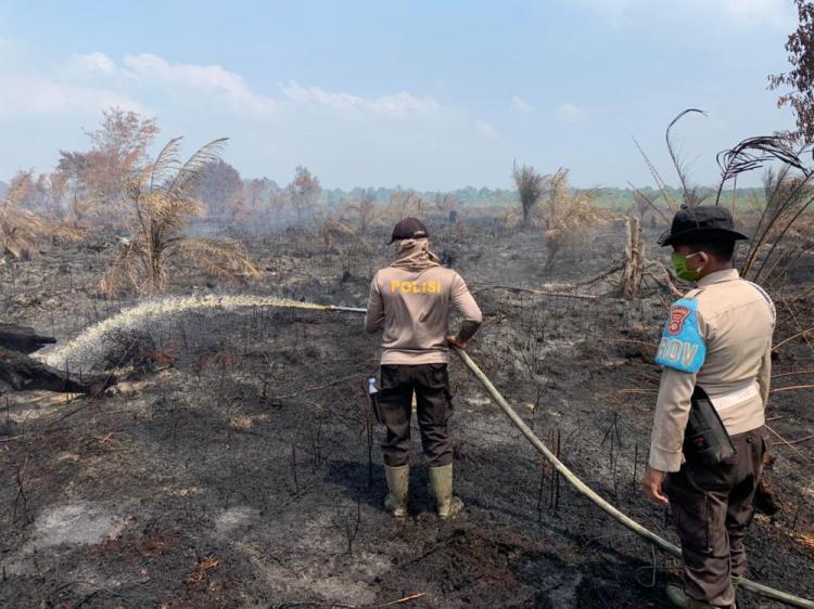Karhutla Terparah Terjadi di Panipahan Rohil