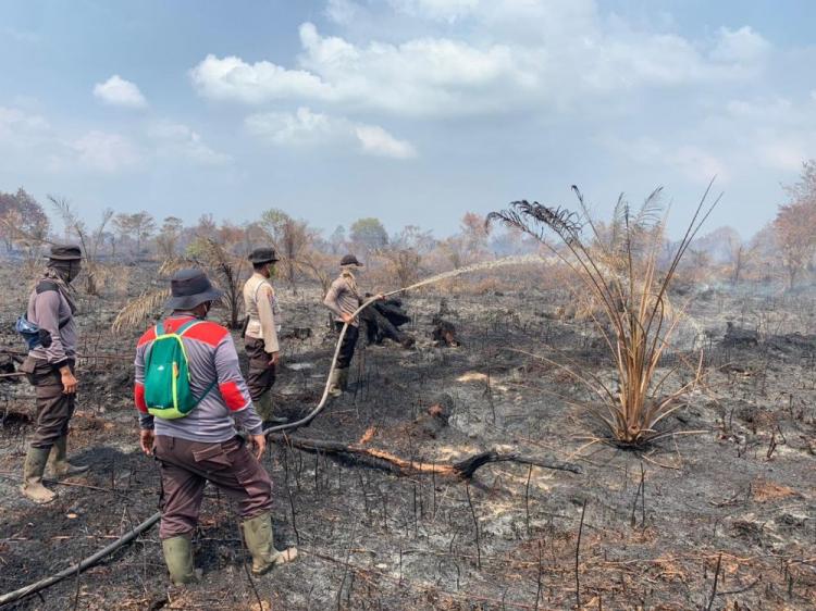 Karhutla di Rohil Meluas, Sudah 37 Hektar Lahan Hangus