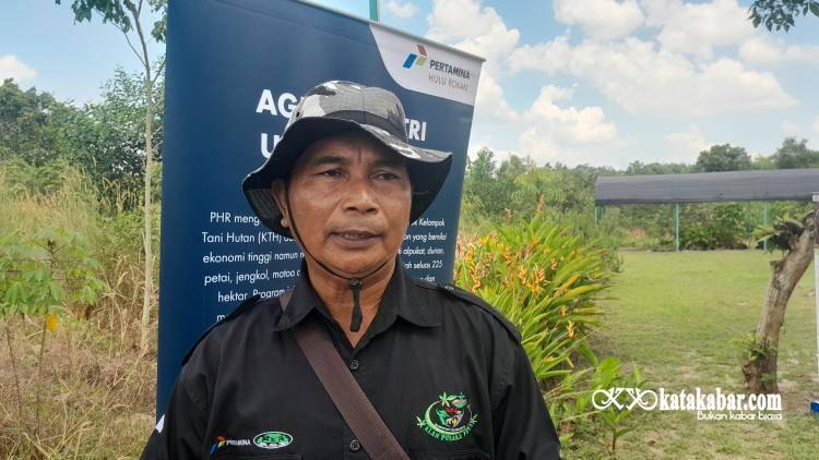 Suparto dan Keajaiban Agroforestri di Belantara Sumatera