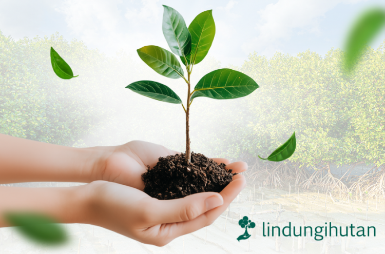 Bank BTN Gandeng LindungiHutan Pada Program Loyalty Poin Peduli Lingkungan