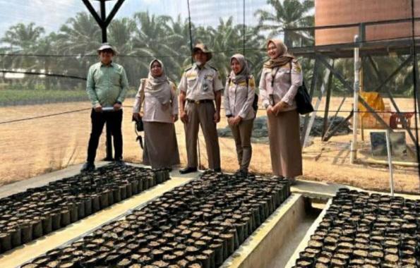 Karantina Sumsel Cek Kebun Produsen Benih Sawit, Ini Targetnya