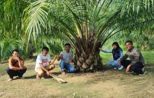 BPDPKS Layangkan Surat, Operasional Dana PPKS dan SPPKS Normal