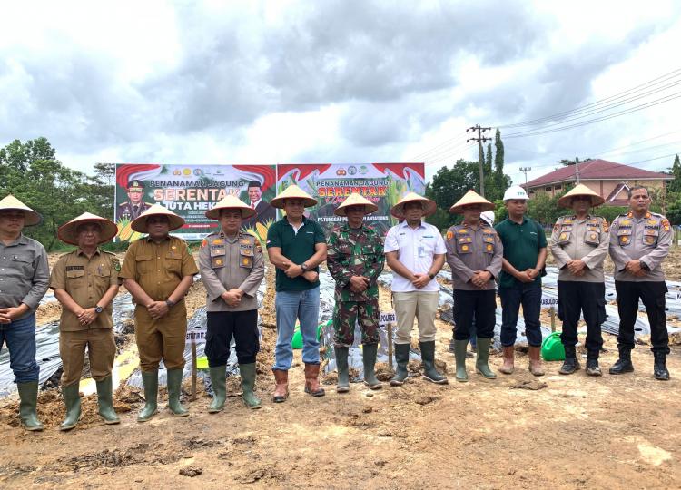Dari Indragiri Hulu untuk Negeri, PT TPP Ikut Tanam Jagung Serentak