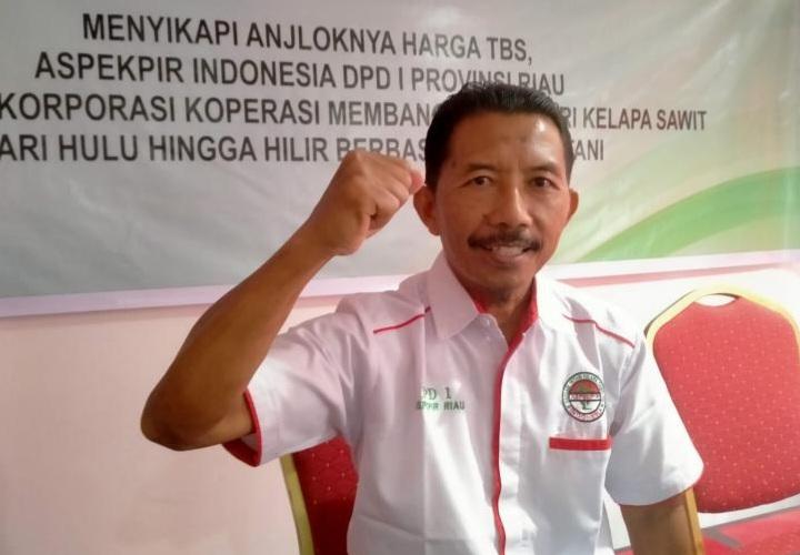 Dorong Regulasi Kepemilikan Saham Petani Plasma di Perusahaan Mitra, Ini Asa Aspek-PIR