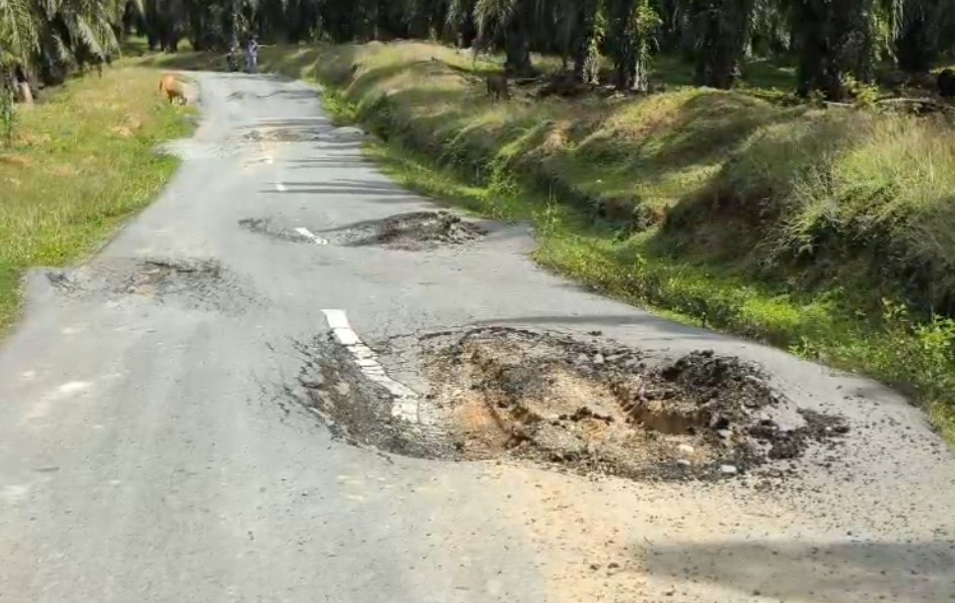 Baru Setahun, Proyek Jalan Rp6,8 Miliar di Pelosok Langkat Sudah Rusak Parah