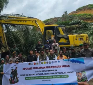 Seluas 360 Hektar Kelapa Sawit Dimusnahkan Kemenhut Bersama Satgas PKH di TNGL