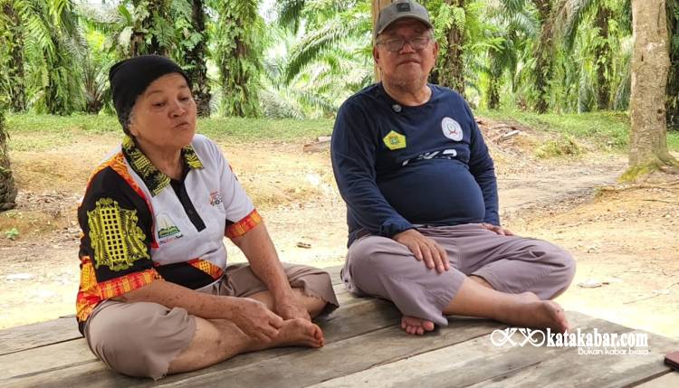 Ulah Konflik Topan Bertanam Sawit