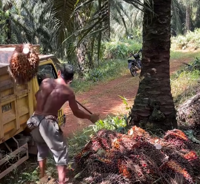 Perusahaan Sawit Ini Teken MoU Dorong Kesejahteraan Petani Sawit Labuhanbatu