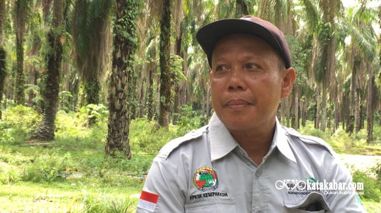 Cerita Unik KPKS Kesepakatan