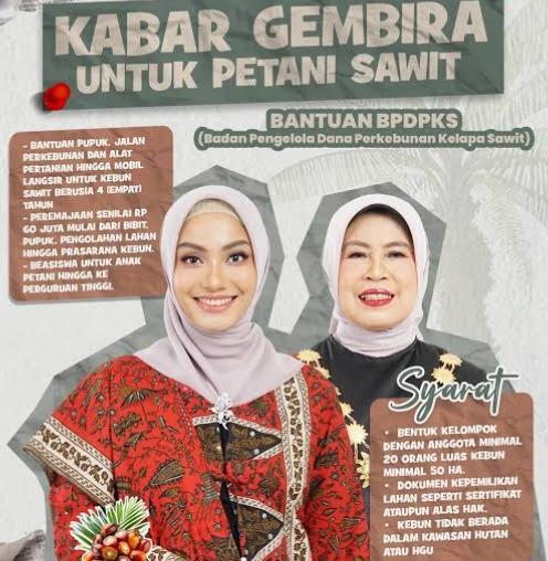Mantap! Petani Sawit Dapat Pupuk Gratis dan Mobil Angkut Panen dari Pemkab Dharmasraya