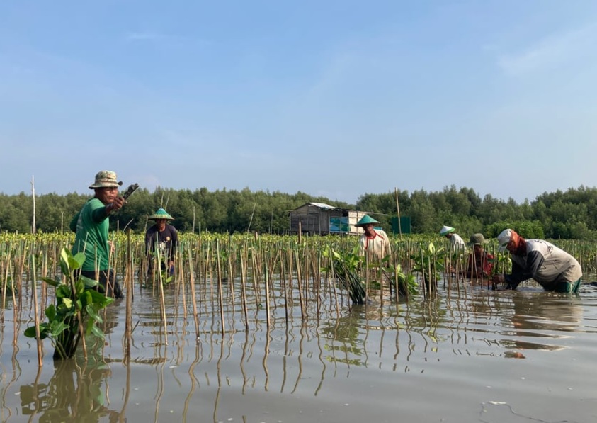 LindungiHutan Ajak Publik Rayakan Hari Menanam Pohon dengan Aksi Nyata di Tengah Krisis Iklim