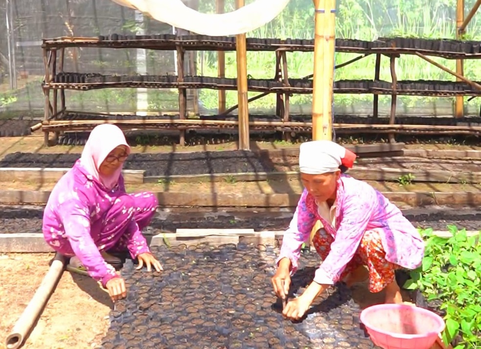 MIND ID Bina Lebih dari 10.000 UMKM Perkuat Ekonomi Lokal dan Tekan Kemiskinan