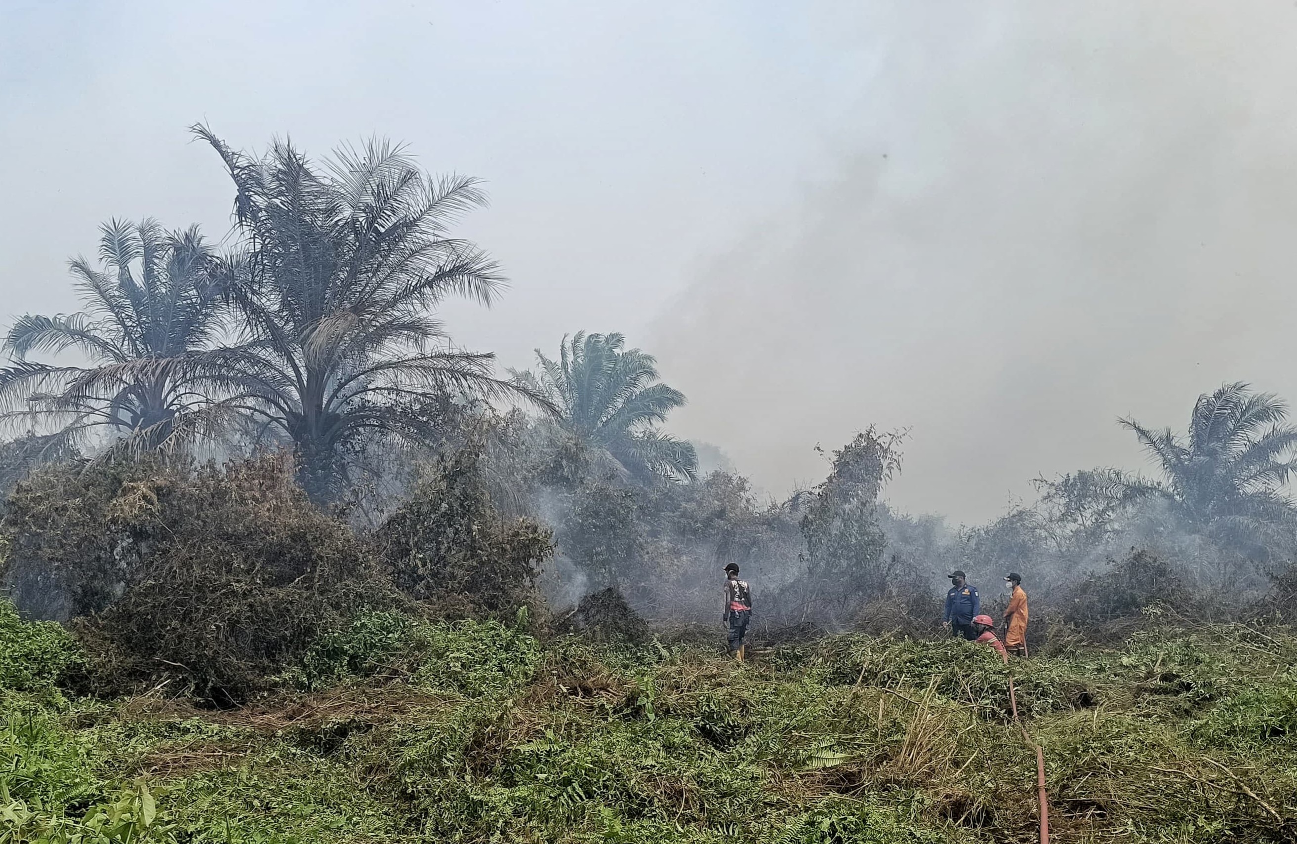 Siaga Lebaran 2026, Tim Damkar PHR Turut Berjibaku Padamkan Karhutla di Dumai