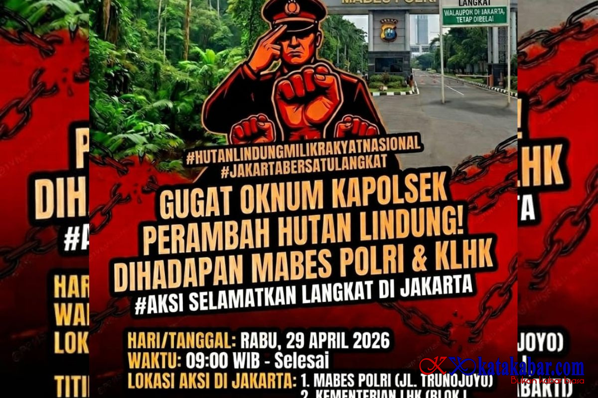 Dugaan Perambahan Hutan Lindung Langkat Libatkan Oknum Aparat