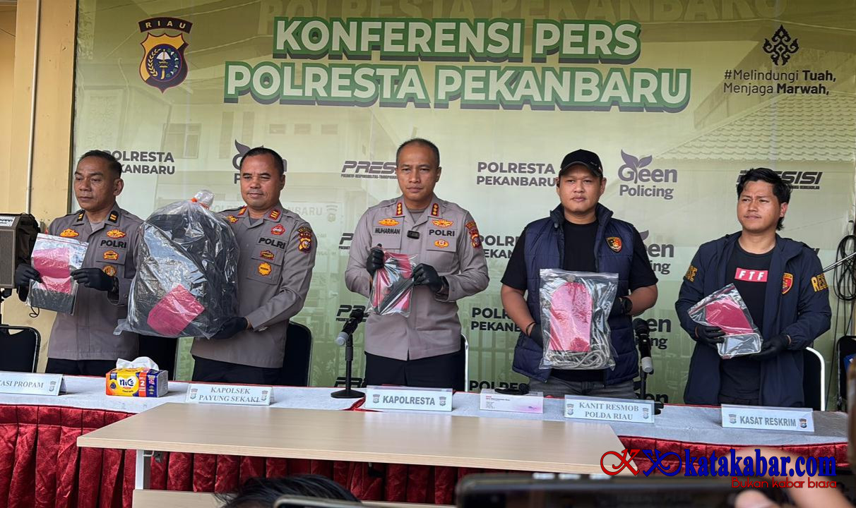 Ternyata! Dalang Pembunuhan Sopir Truk Ekspedisi di Pekanbaru Rekan Kerja Korban