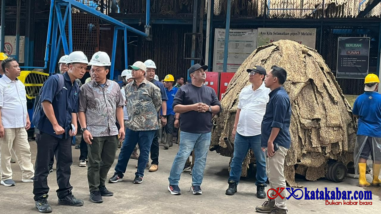 Perkuat Produktivitas Karet, PTPN I Fokus Benahi Kebun Padang Pelawi