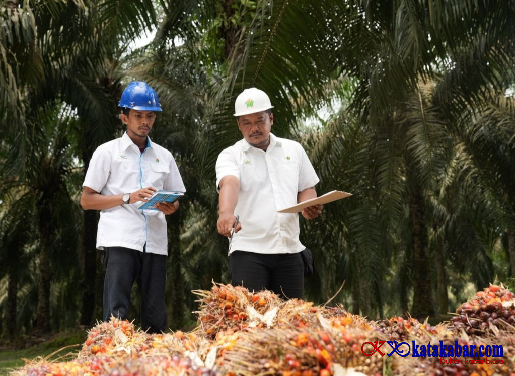 Intensifkan Daya Saing SDM, PalmCo Targetkan 5.120 Sertifikasi Kompetensi