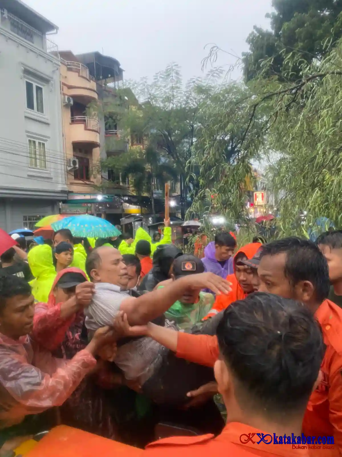 Pedagang Bakso Tertimpa Pohon hingga Kaki Nyaris Putus, Perawatan Pohon Pemko Binjai Dipertanyakan