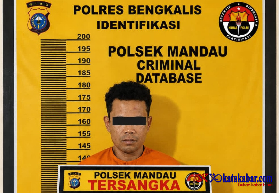 Ungkap Perkara Sabu di Pematang Pudu, Reskrim Polsek Mandau Amankan Pria Bersama 18 Paket Sabu