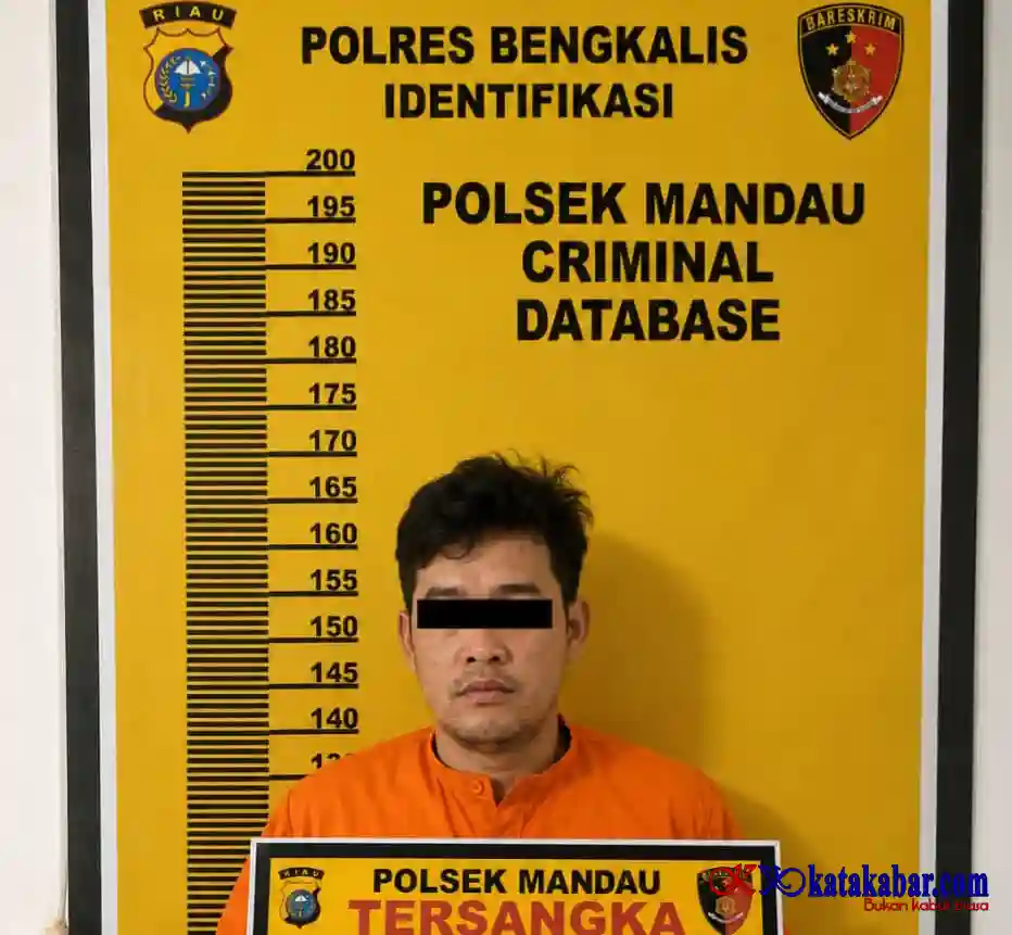 Beli Handphone Curian, Pemilik Toko Diringkus Polsek Mandau di Simpang Telkom Duri