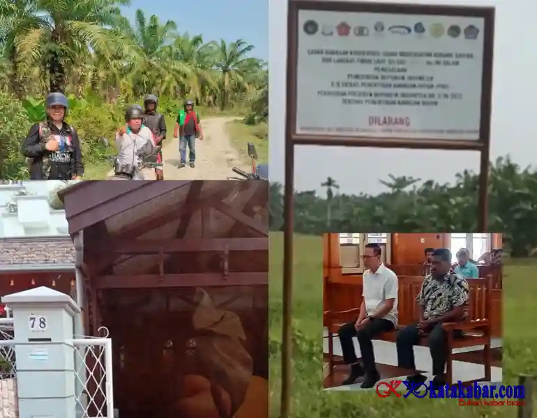 Putusan MA Sudah Inkrah, Akuang Sang Perambah Hutan Mangrove Langkat Masih Bebas
