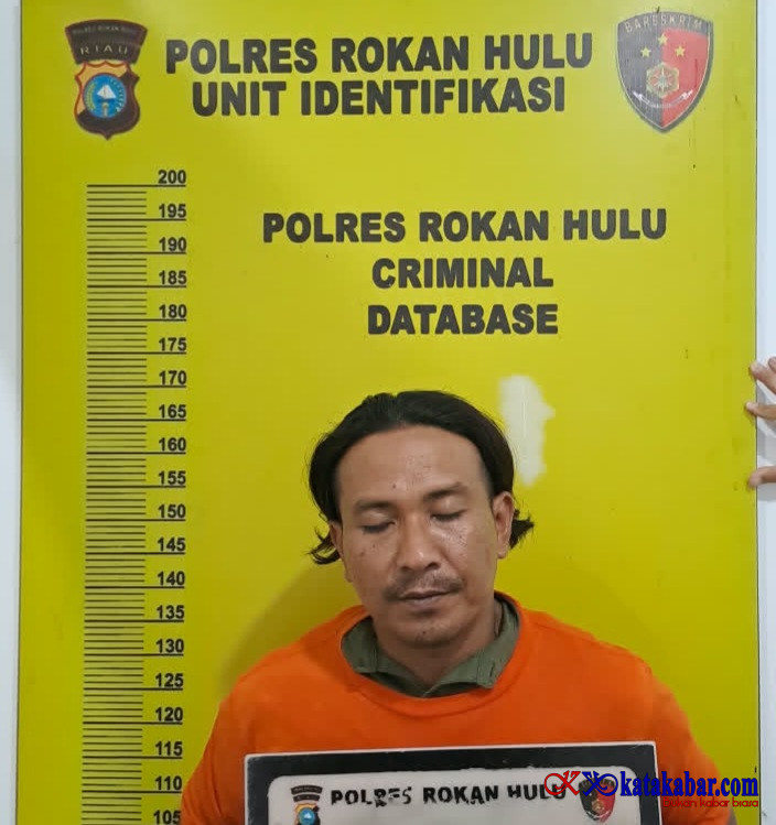 Karhutla Seluas 4 Hektare di Rohul, Polisi Tetapkan Satu Tersangka