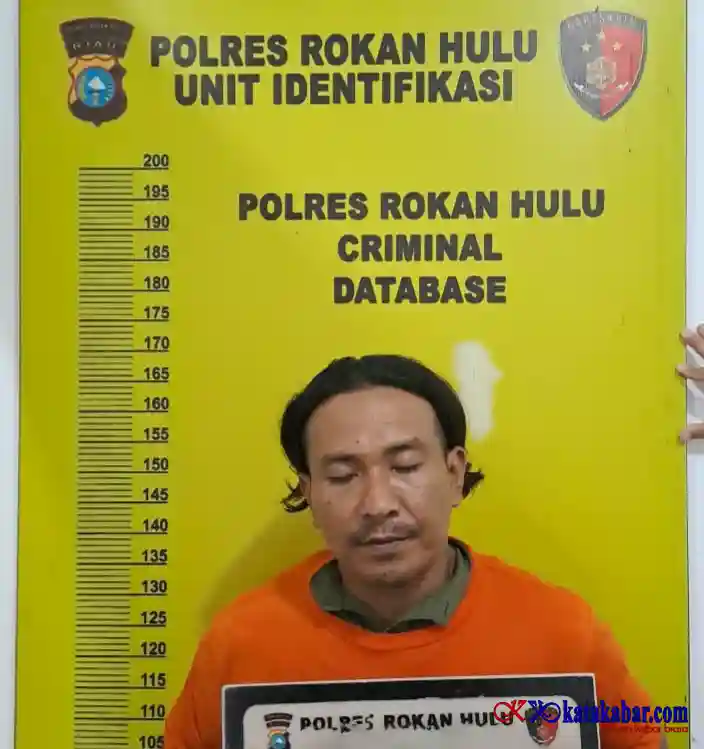 Karhutla Seluas 4 Hektare di Rohul, Polisi Tetapkan Satu Tersangka