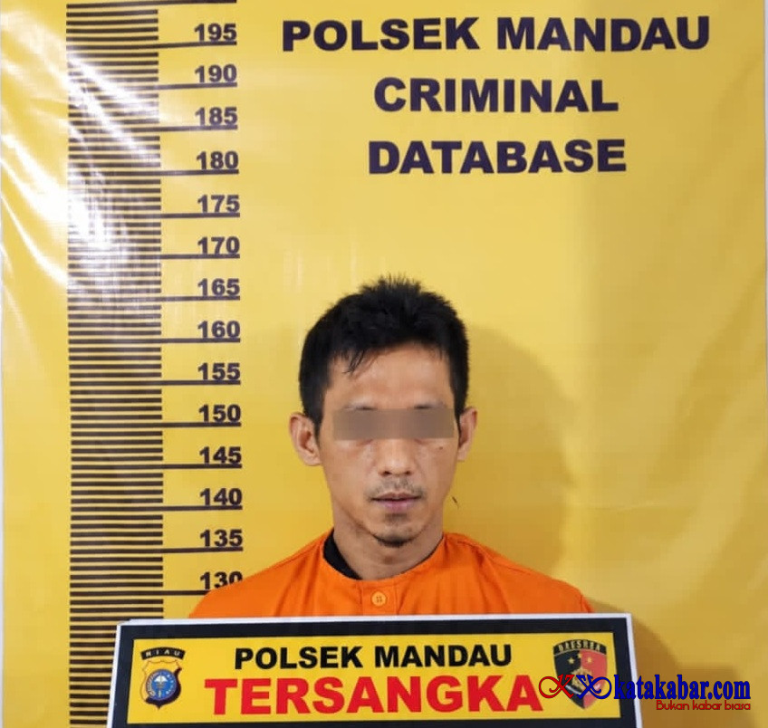 Pengedar Sabu Dicokok Reskrim Polsek Mandau di Pasar Dewi Sartika Duri Barat