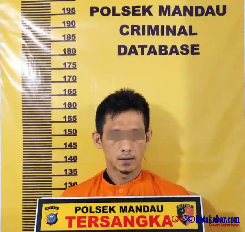 Pengedar Sabu Dicokok Reskrim Polsek Mandau di Pasar Dewi Sartika Duri Barat