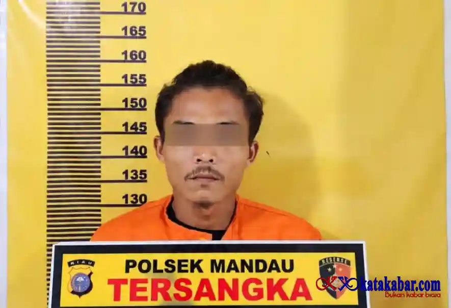 Warga Dusun Tegar Dijebloskan Kepenjara Polsek Mandau Lantaran Curi TBS Sawit