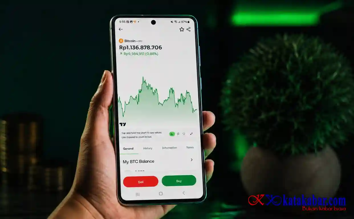 Harga Bitcoin Tertahan di $87.000, Ini Skenario Pergerakan BTC Berikutnya
