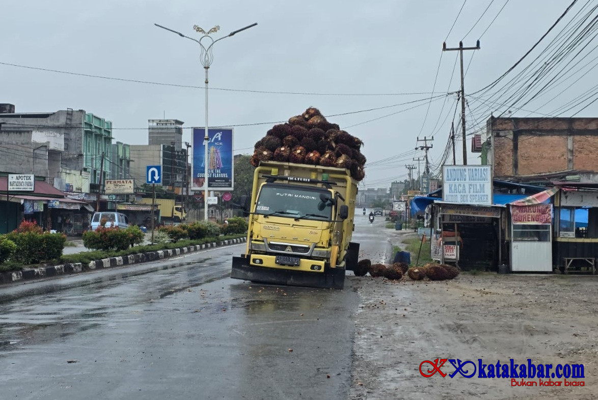Muatan TBS Sawit Berceceran, Warga Ujungbatu Minta Truk Overdimension Ditindak