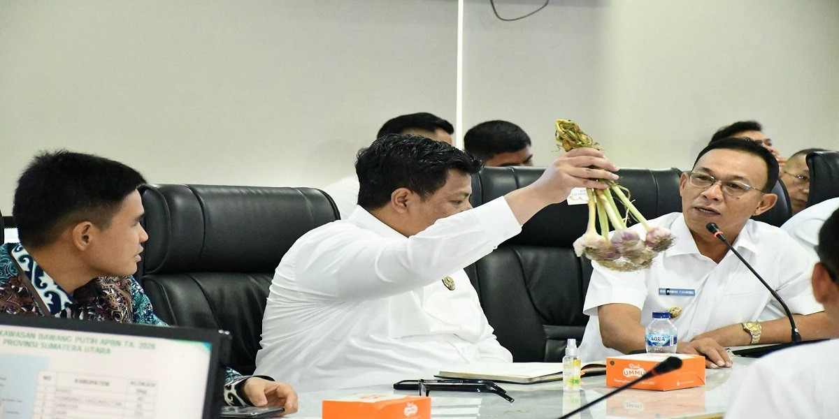 Samosir Targetkan 2.000 Hektare Lahan Bawang Putih dengan Dukungan Alsintan Modern