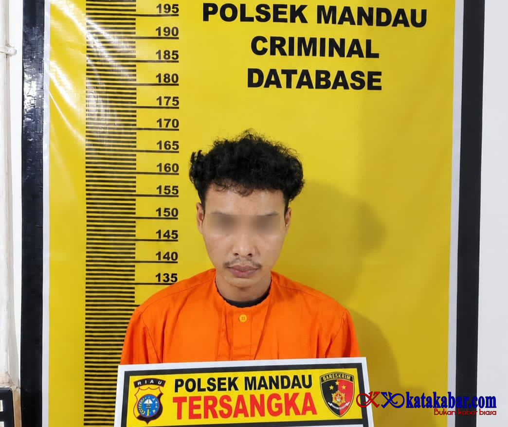 Pria Muda Dibui Polsek Mandau Usai Setubuhi Anak Bawah Umur di Penginapan Gundaling