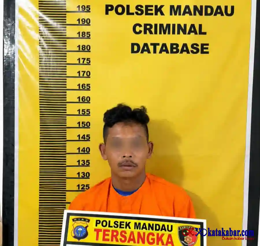 Oalah, Pria Gaek di Duri Setubuhi Anak di Bawah Umur Dibekuk Polsek Mandau