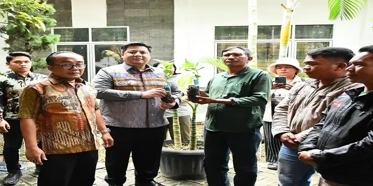 Dorong Sektor Pertanian, Pemkab Samosir Bagikan 1,25 Juta Bibit Kopi ke Petani