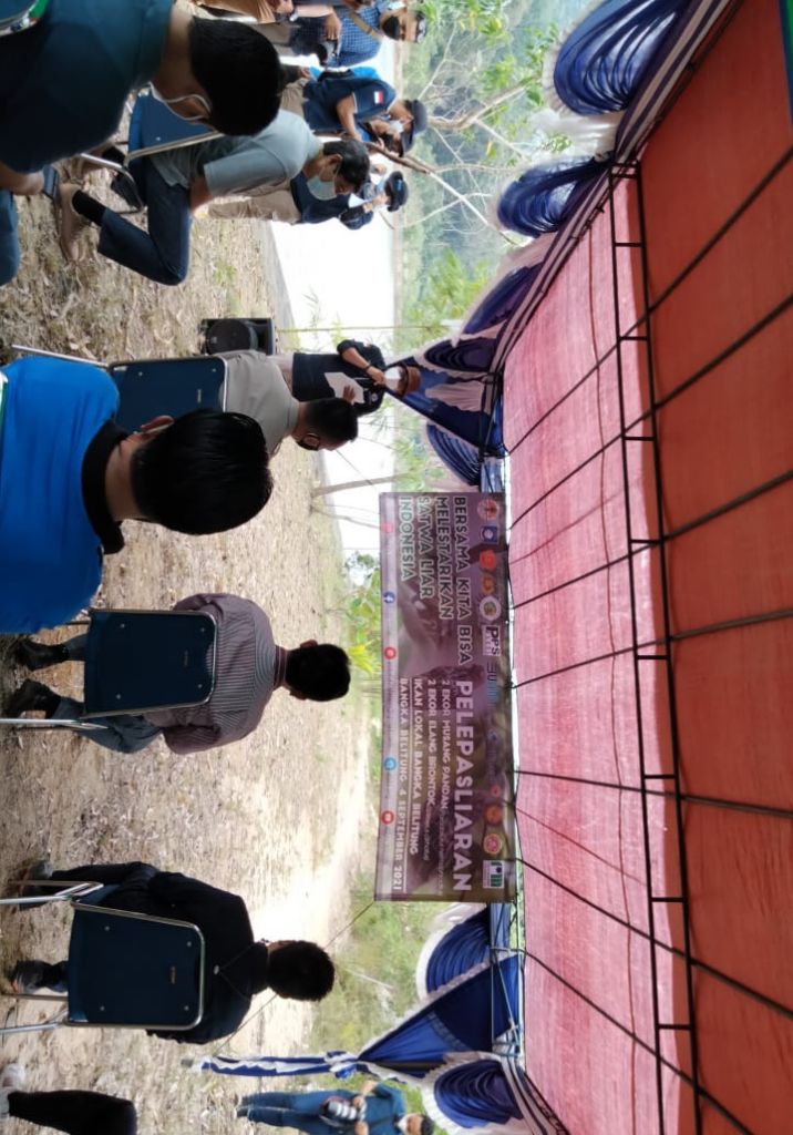 Cerita Musang Pandan dan Elang Brontok di Tahura Gunung Menumbing