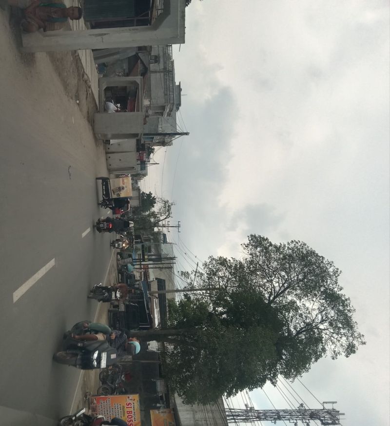 Banyak Pohon Pinggir Jalan Hilang di Medan Denai Akibat Proyek Drainase