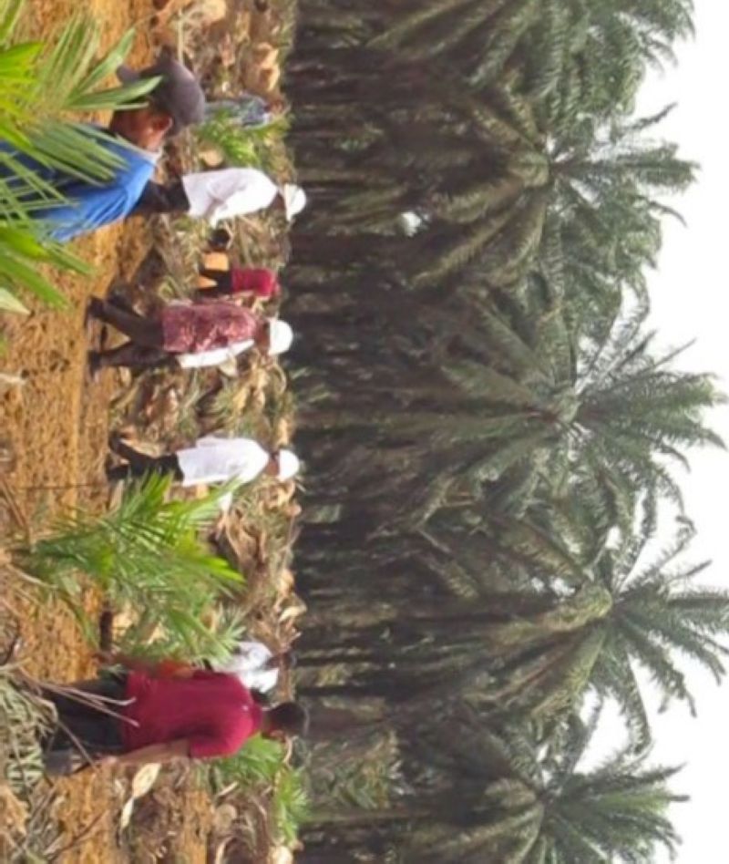 Total 100 Lebih Anak Petani Sumbar Lulus Administrasi Program Beasiswa BPDPKS