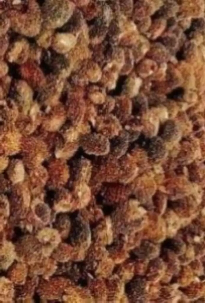 Ketua DPW Apkasindo Sumut: Ini Boleh Jadi Imbas Harga CPO